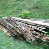 napadene_drevo_drevomorkou