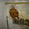 plodnice_drevomorka_5